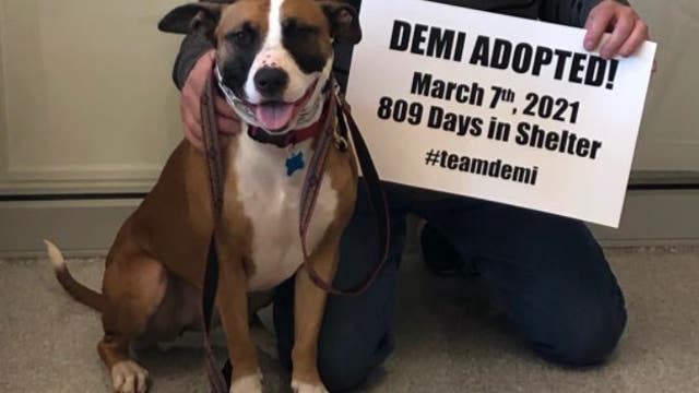 Dog adopted after more than two years at shelter