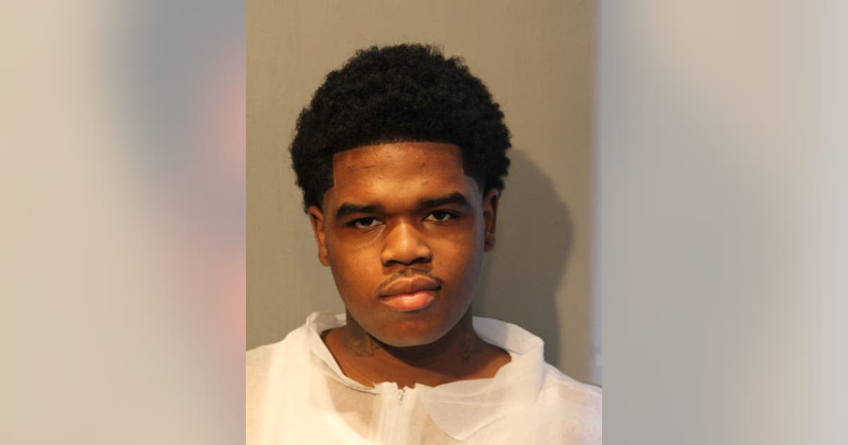 Man charged with stabbing 18-year-old woman to death in Bronzeville ...