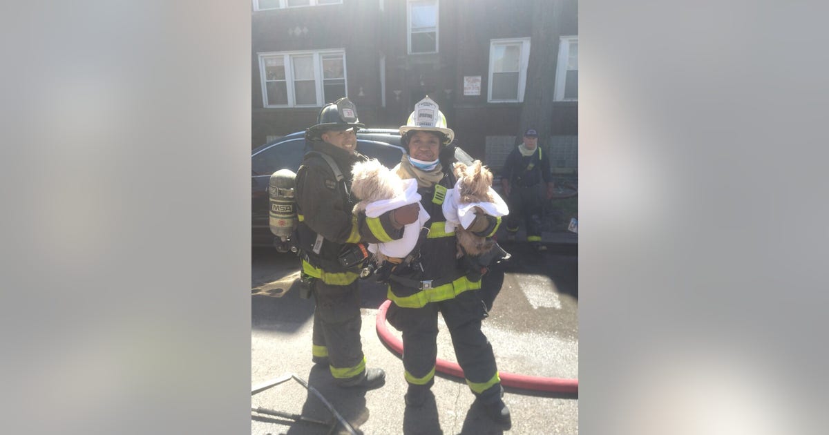 12-year-old hurt in Grand Crossing fire; 2 pets saved | FOX 32 Chicago