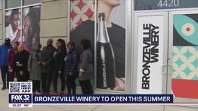 Bronzeville Winery to open on Chicago's South Side: 'More than just a restaurant'