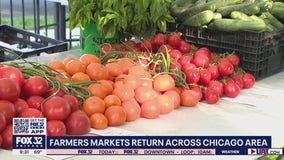 Farmers markets begin to bloom across Chicagoland