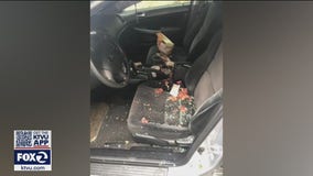 Muslim security guard in San Rafael says her car was vandalized with pig's feet and bacon