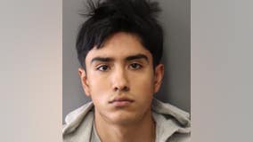 Riverside man gets 2 years in prison for slitting puppy's throat, posting videos of torture online