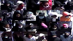 Police release video of suspects in Back of the Yards burglary