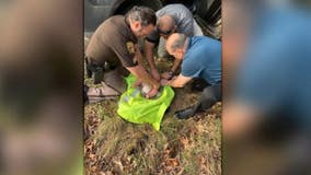 Michigan deputies rescue abandoned 4-month-old left in woods