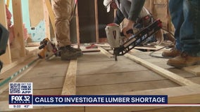 Building industry calls out timber industry as lumber prices continue to spike