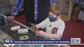 Baseball card sales boom during the pandemic