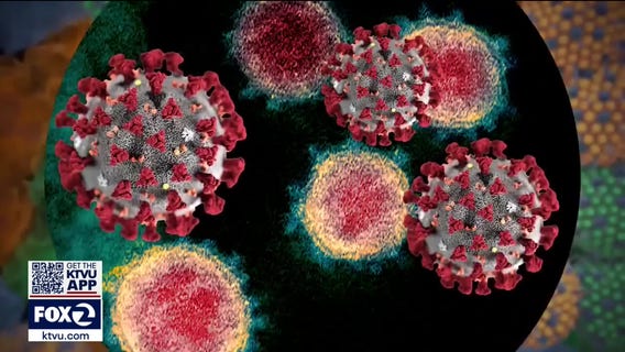 Coronavirus variant from India discovered in the Bay Area