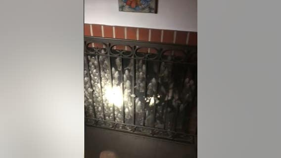 California firefighters release 1,000 small birds that were trapped in chimney