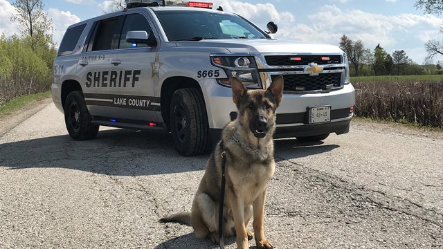 Lake County Sheriff's Office introduces newest canine deputy