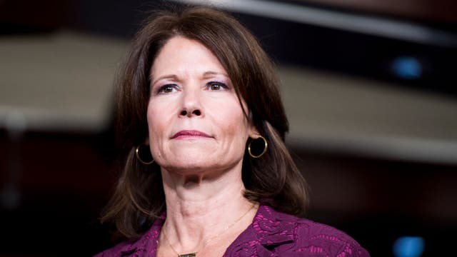 Illinois Dem Cheri Bustos not running for reelection in competitive seat