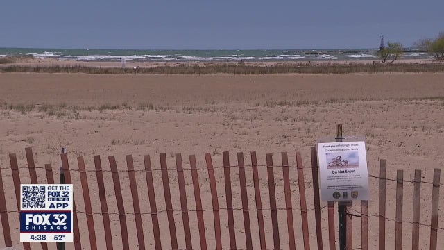 Montrose Beach Dunes fenced off to protect endangered piping plovers