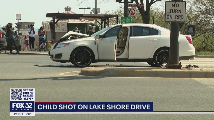 2-year-old shot on Lake Shore Drive near Grant Park, NB lanes closed - Vimarsana News