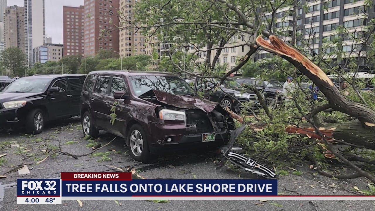 Wind Knocks Down Tree Branch Onto Car On Lake Shore Drive