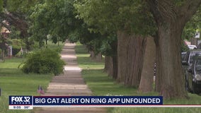 Possible 'big cat' sighting in Chicago unfounded following search by animal care and control