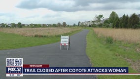 Woman walking her dog fends off coyote attack in Bolingbrook