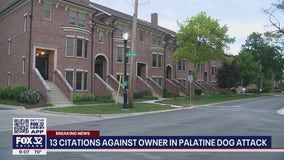 Dog owner cited, dog walker charged after attack in Palatine