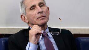 Fauci 'not convinced' COVID-19 developed naturally