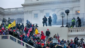 Accused US Capitol rioters blame insurrection on mob mentality