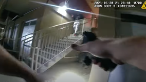 Pittsburg body cam video shows armed man retreat up stairs, point gun at police before being killed