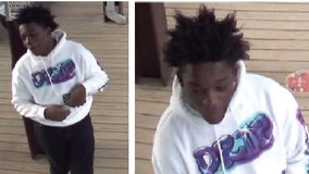Police seek suspect wanted in Brown Line robbery