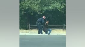 Video captures officer helping blind man after he fell while crossing the street