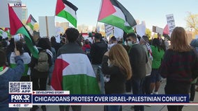 Protesters rally in downtown Chicago, suburbs in support of Palestinians