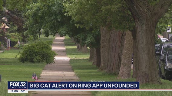 Possible 'big cat' sighting in Chicago unfounded following search by animal care and control