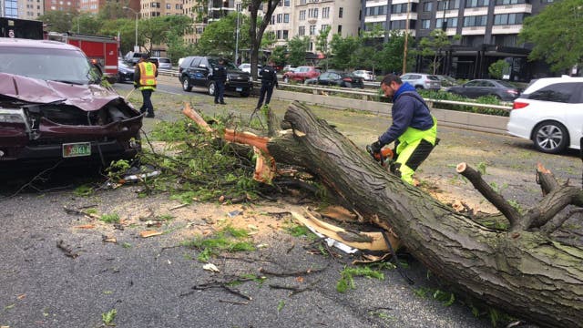 Wind knocks down tree branch onto car on Lake Shore Drive