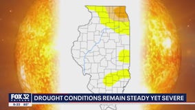 Drought conditions remain steady, yet severe in Illinois