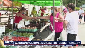 Wauconda Farmers Market opens this week