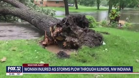 Two tornadoes hit suburban Chicago on Saturday, National Weather Service confirms