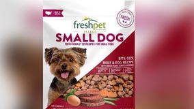 Pet food recall due to potential salmonella contamination