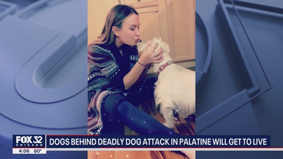 2 dogs registered as emotional support animals accused of deadly dog attack in Palatine will get to live