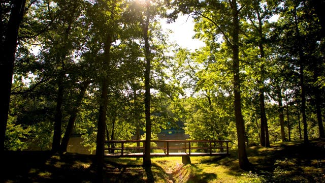 More than 80 COVID-19 cases linked to Illinois summer camp, officials say