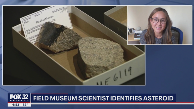 Field Museum scientist identifies rare meteorite spotted in Sahara Desert