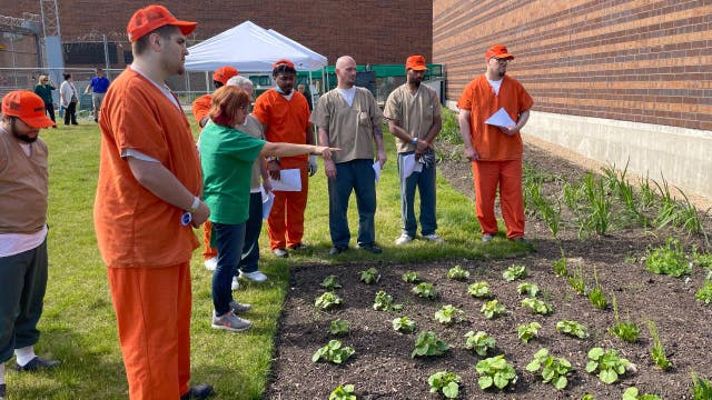 DuPage County jail launches new horticulture program for inmates