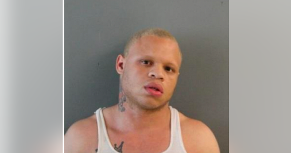 Man charged with fatal stabbing in Chatham last year | FOX 32 Chicago