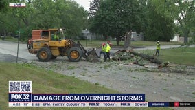 Cleanup begins after overnight storms down trees in Zion