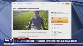 GoFundMe raises over $72k for Chicago student killed by stray bullet while sitting on CTA train