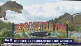 Brookfield Zoo to hold summer job fair this weekend