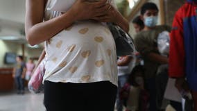 ICE to avoid detaining most pregnant, postpartum women in new policy