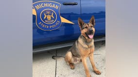 MSP K9 Rex killed in crash with suspected drunk driver