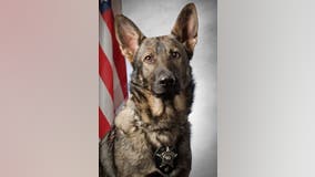 Gurnee police K9 retires after 7 years of service