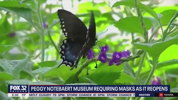 Peggy Notebaert Nature Museum set to reopen Thursday