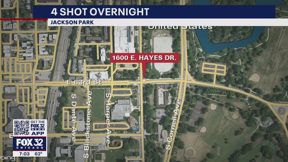 Jackson Park shooting: 4 wounded after suspect opens fire on large crowd