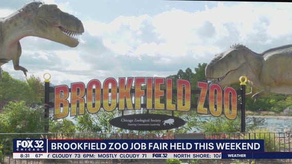 Brookfield Zoo to hold summer job fair this weekend