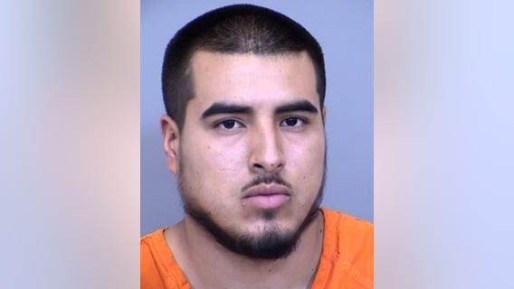 Dogs euthanized after attacking, killing Phoenix woman; owner arrested