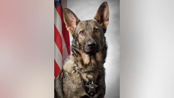 Gurnee police K9 retires after 7 years of service