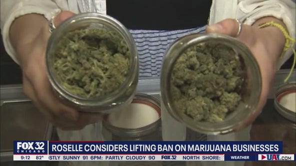 Residents to weigh in about allowing cannabis shop in Roselle